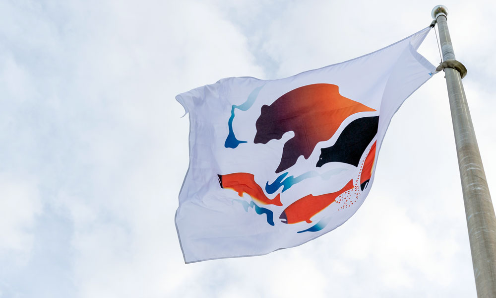Okanagan Nation Alliance flag